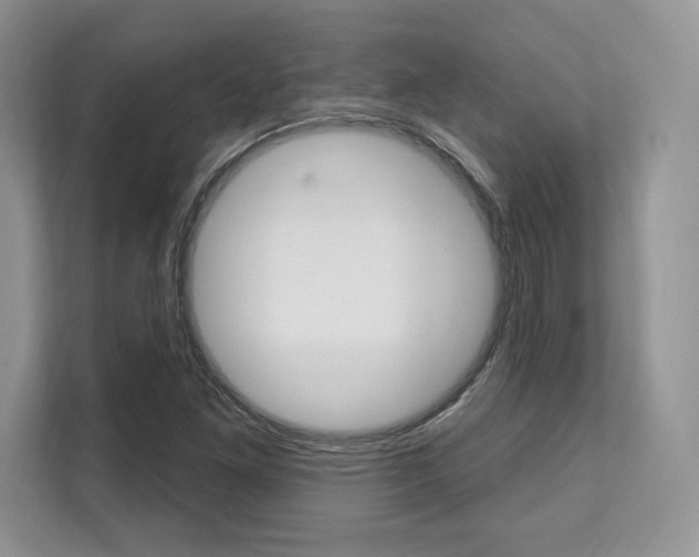 X0000112201261200908071236