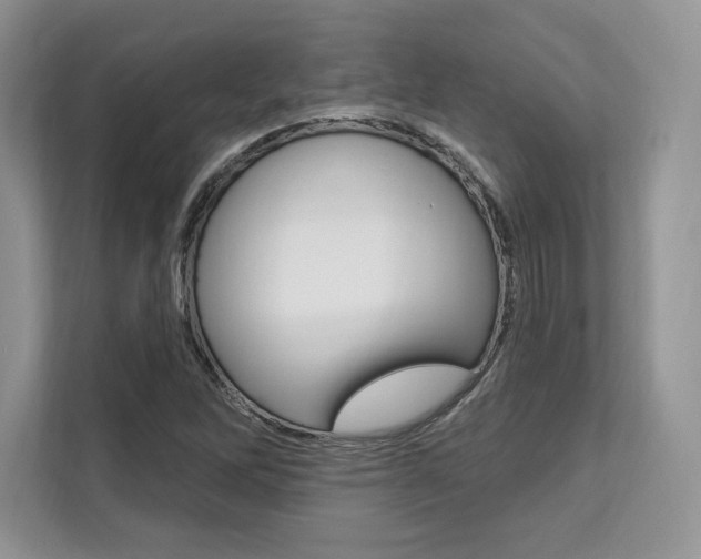 X0000112201262200908071236