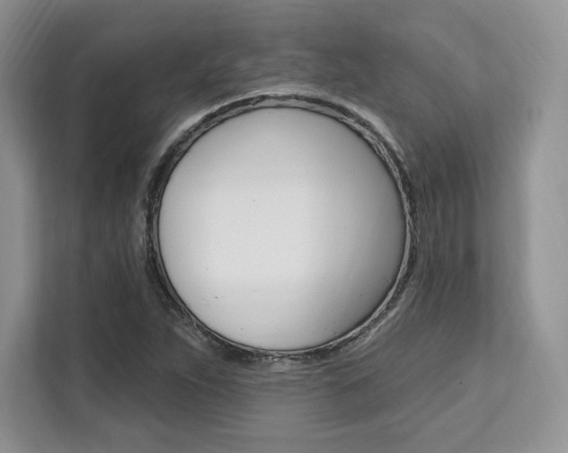 X0000112201263200908071236