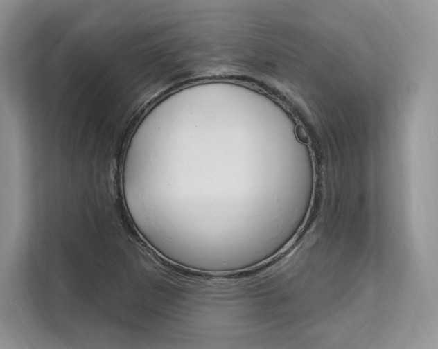 X0000112201265200908071236