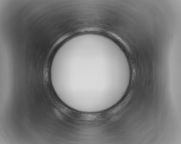 X0000112201266200908071236