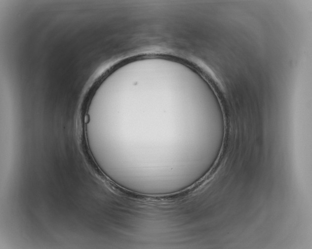 X0000112201270200908071236