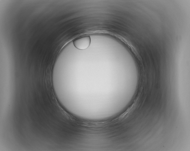 X0000112201273200908071236