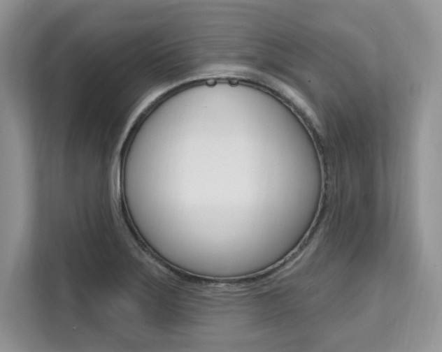 X0000112201275200908071236