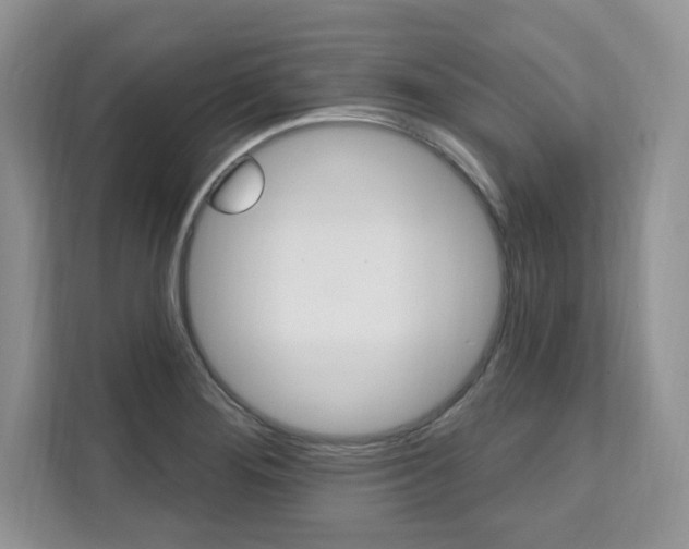 X0000112201276200908071236