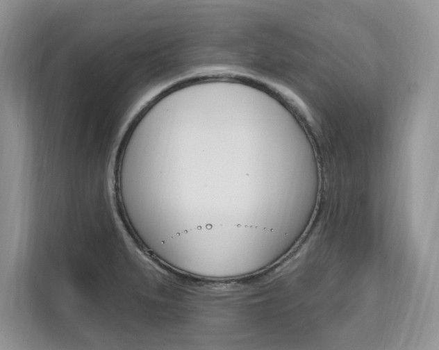 X0000112201279200908071235