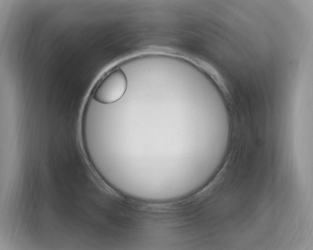 X0000112201280200908071235