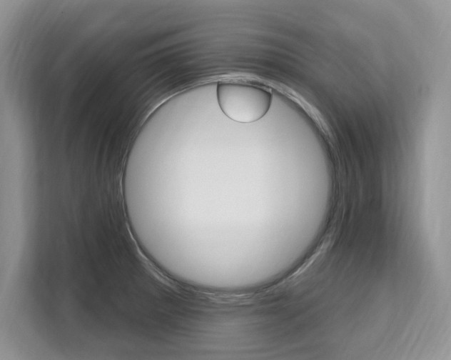 X0000112201281200908071235