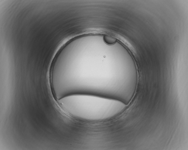 X0000112201283200908071235