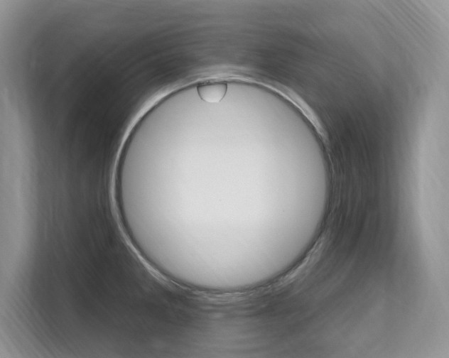 X0000112201285200908071235