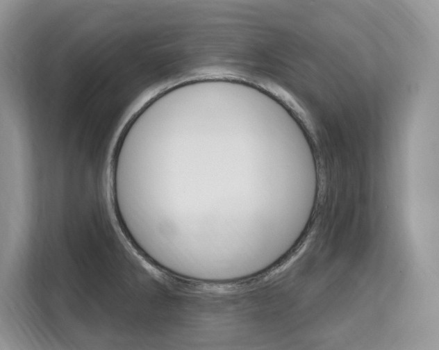 X0000112201286200908071235