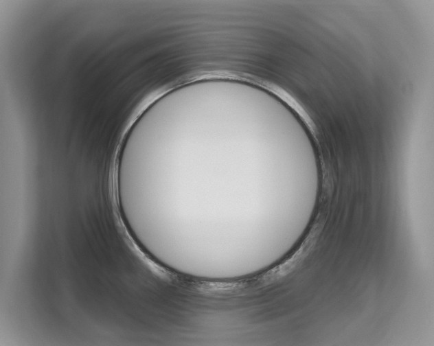 X0000112201290200908071235
