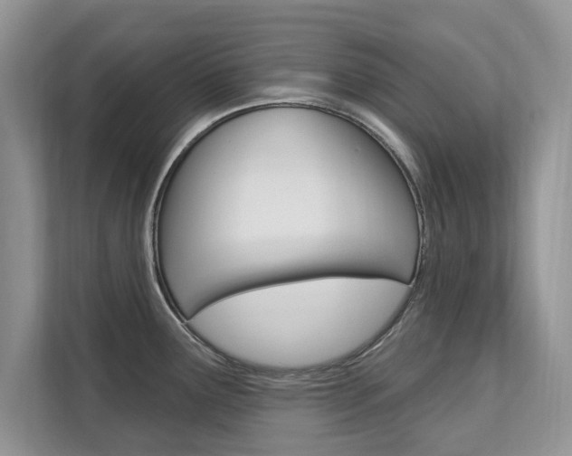 X0000112201291200908071235