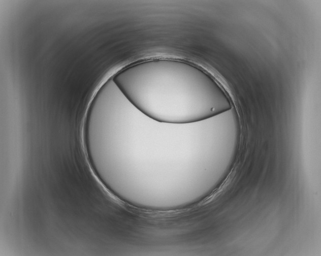 X0000112201293200908071235