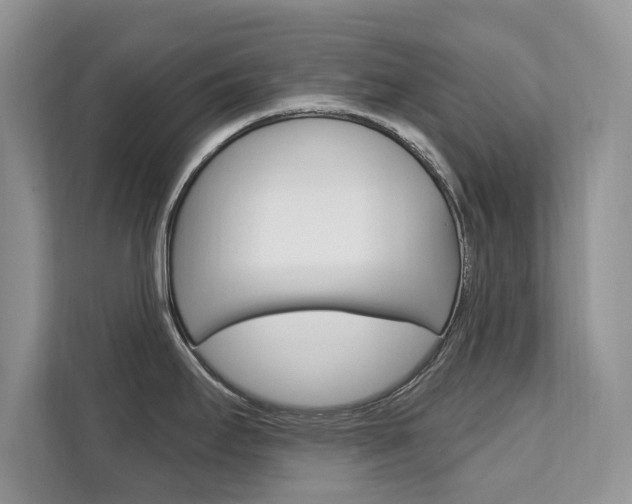 X0000112201295200908071235