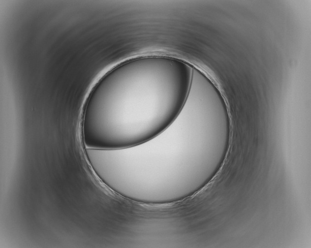 X0000112201296200908071235