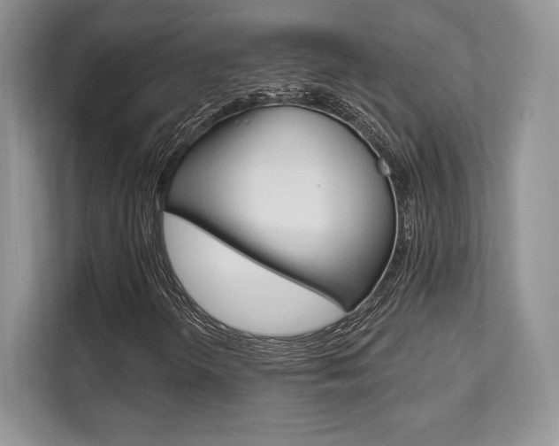 X0000112201298200908071235