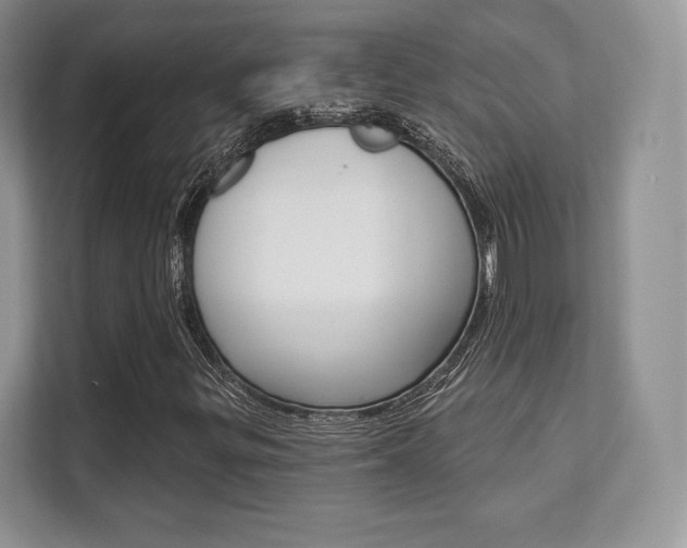 X0000112201299200908071235