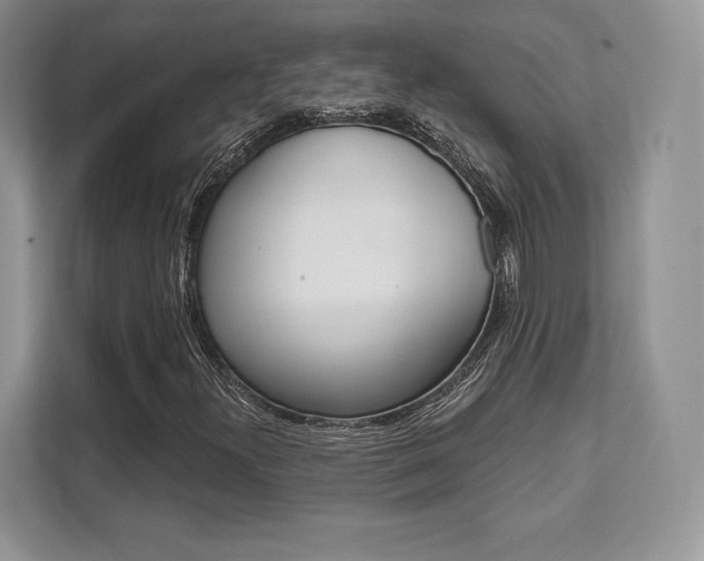 X0000112201300200908071235