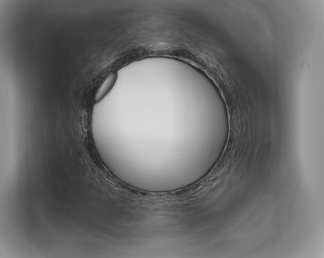X0000112201301200908071235