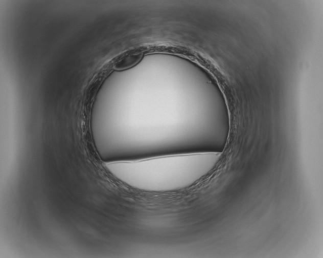 X0000112201303200908071235