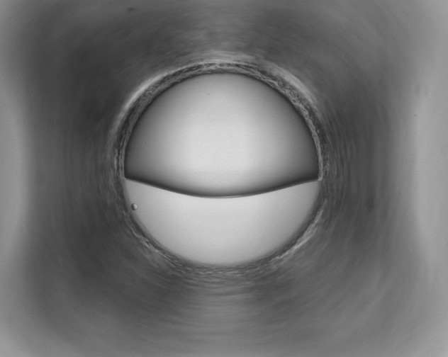 X0000112201310200908071235