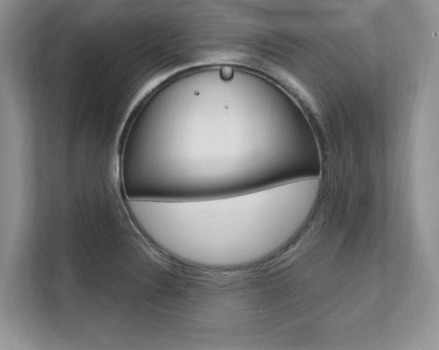 X0000112201324200908071235