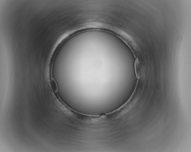 X0000112201326200908071235