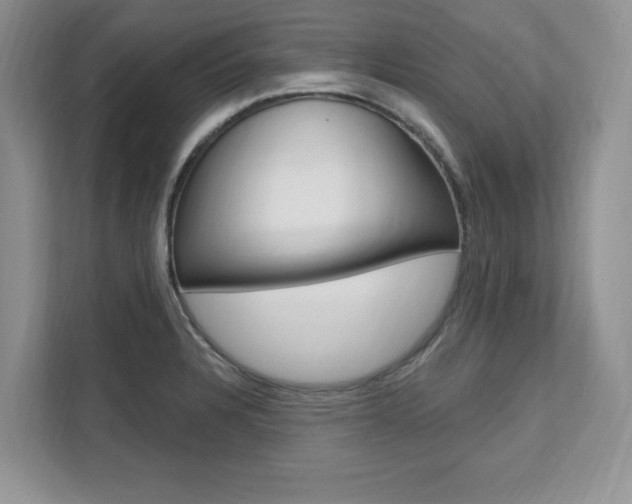 X0000112201328200908071235