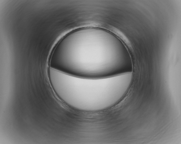 X0000112201332200908071235