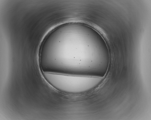 X0000112201334200908071235