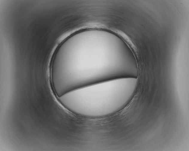 X0000112201335200908071235