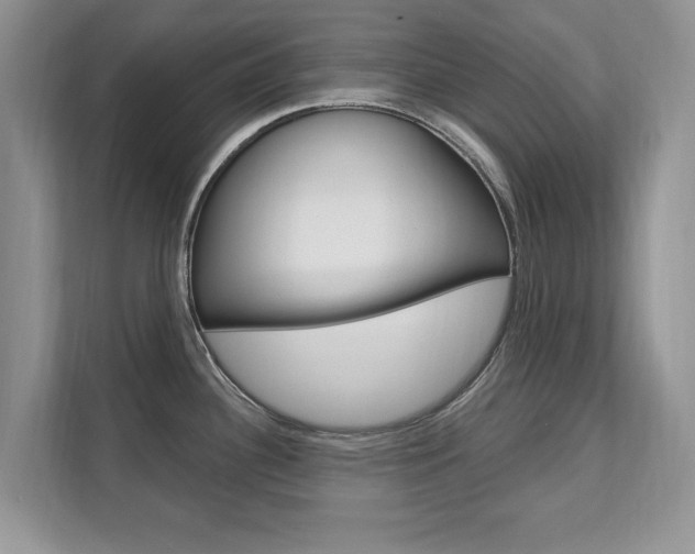 X0000112201340200908071235