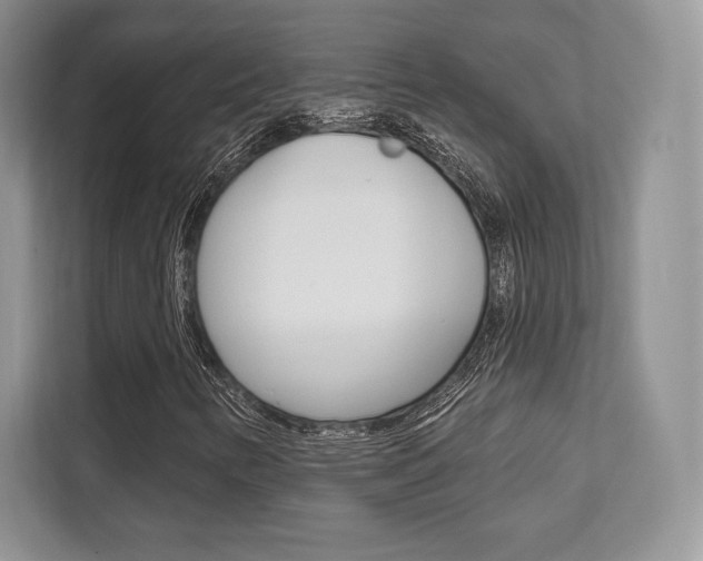 X0000112201346200908071235