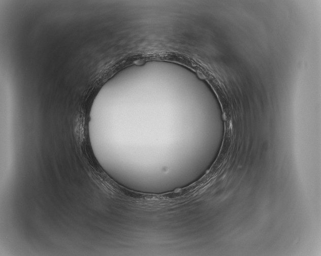 X0000112201348200908071235