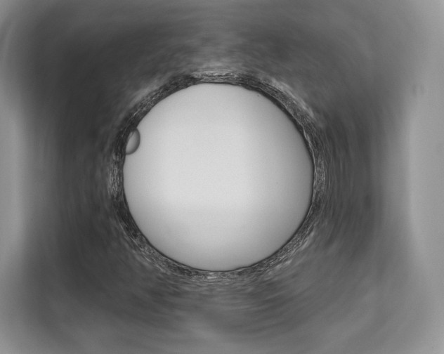 X0000112201350200908071235