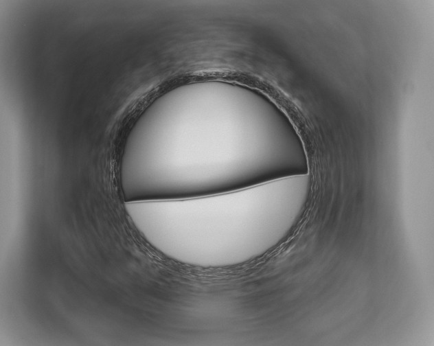 X0000112201351200908071235