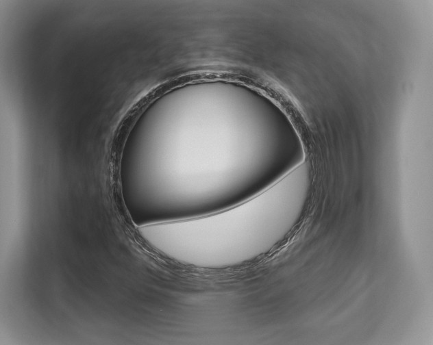 X0000112201352200908071235