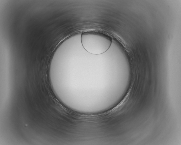 X0000112201353200908071235