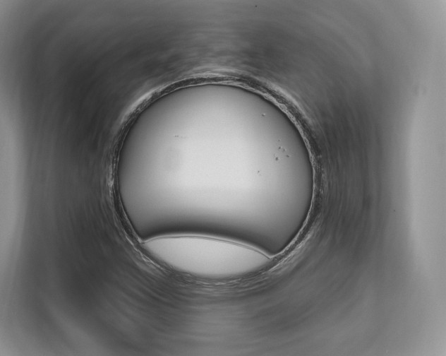 X0000112201355200908071235