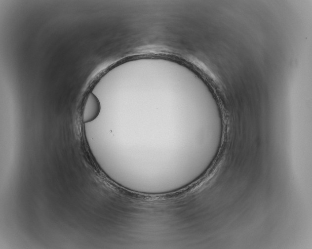 X0000112201358200908071234