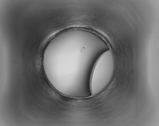 X0000112201359200908071234