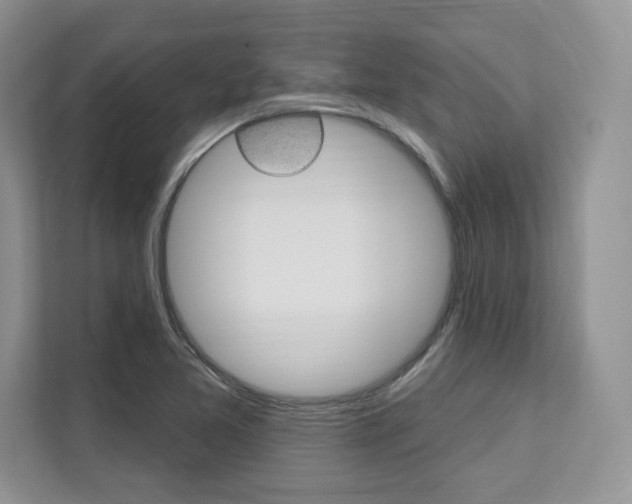 X0000112201365200908071234