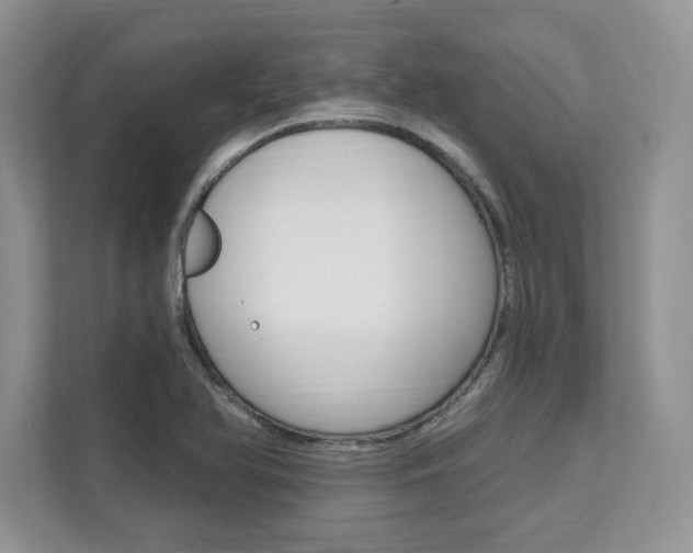 X0000112201366200908071234