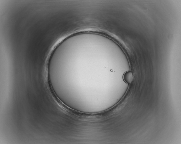 X0000112201367200908071234