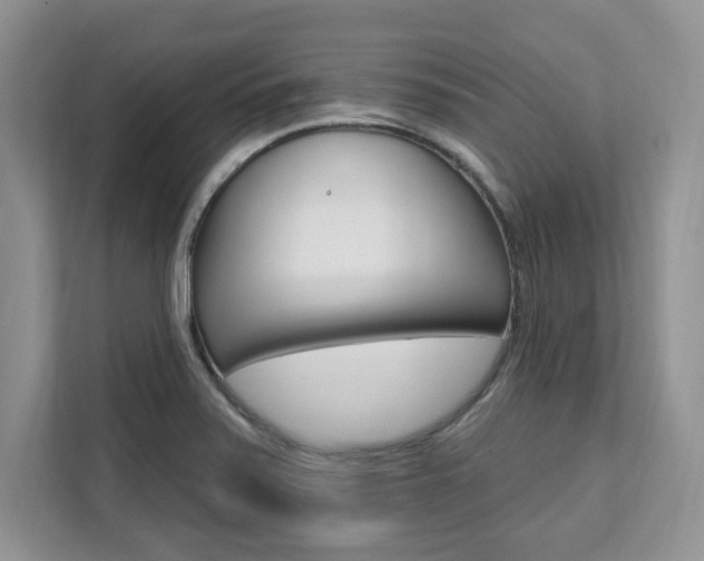 X0000112201371200908071234