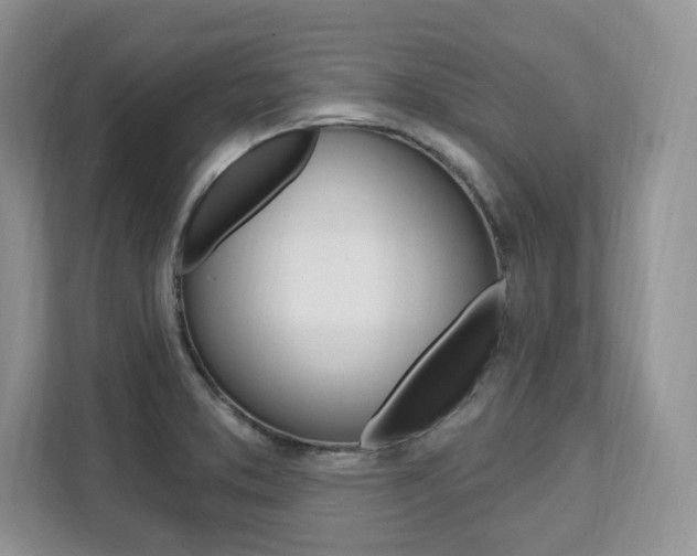 X0000112201373200908071234