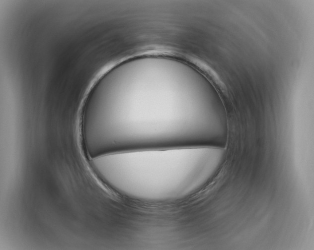 X0000112201375200908071234