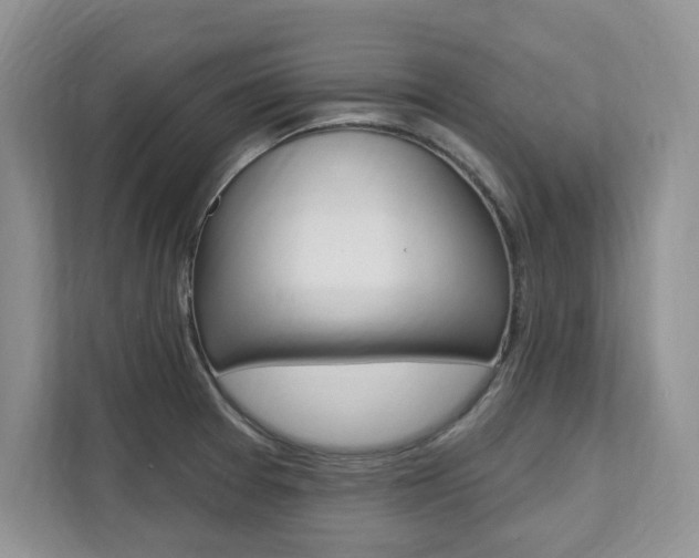X0000112201377200908071234