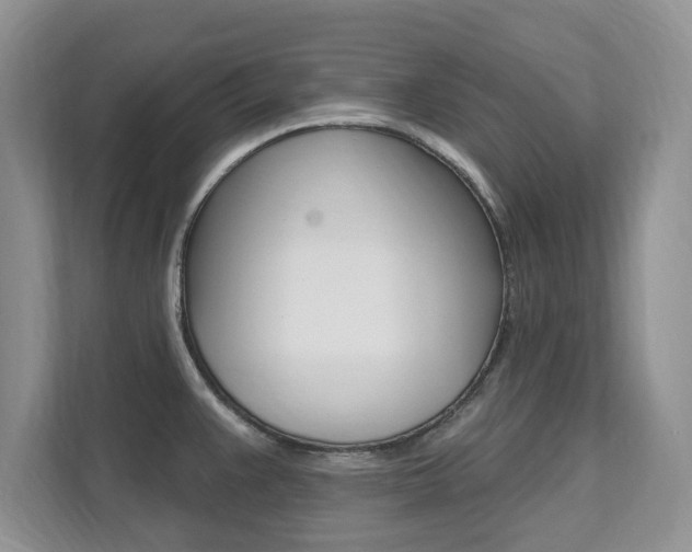 X0000112201383200908071234